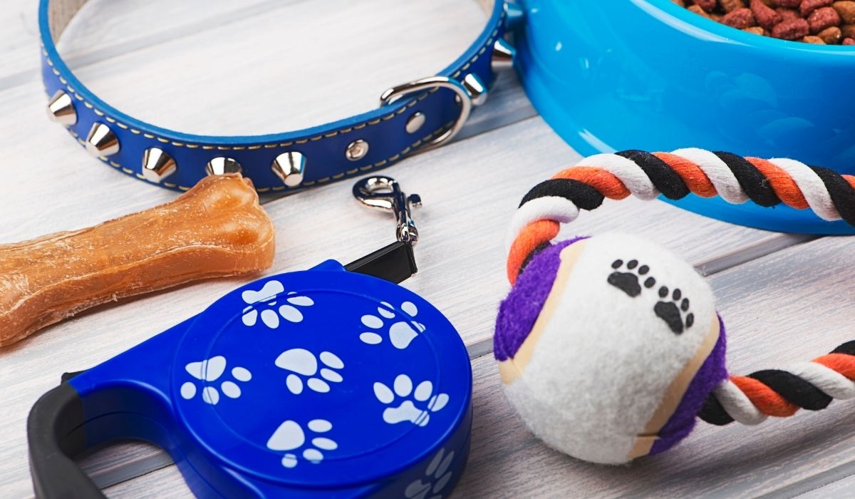Top 10 Must-Have Accessories for Happy Pets