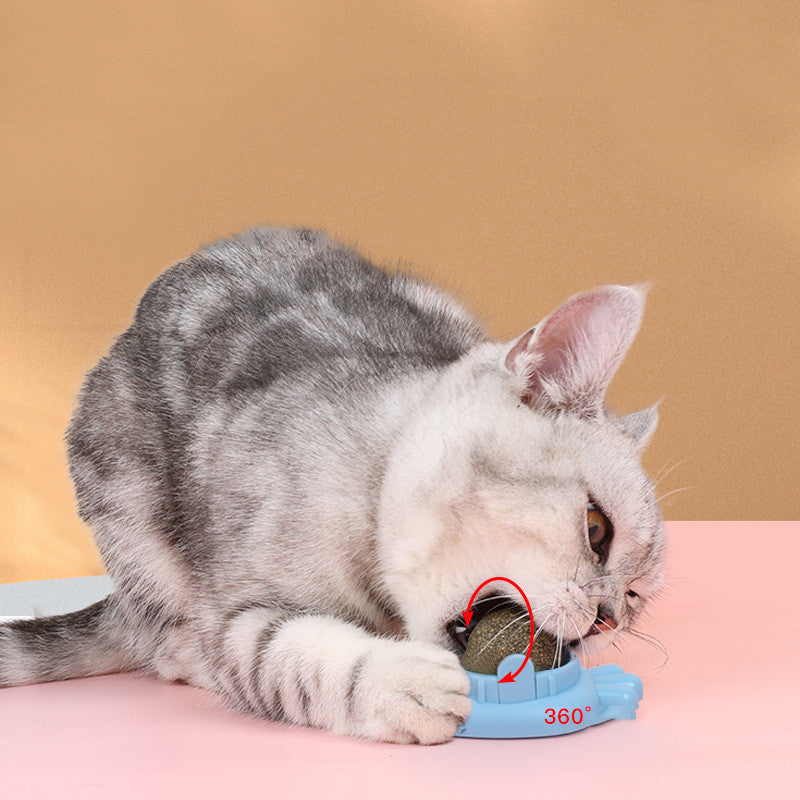 Pet Cat Mint Ball Toy Zihi Molar Pet Products